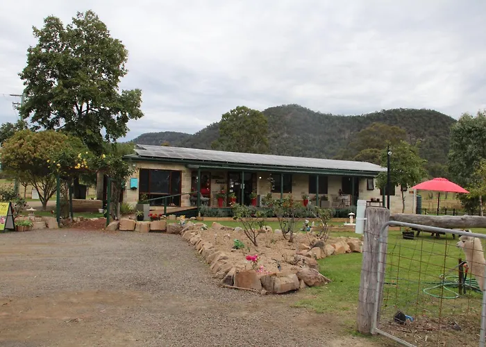 Starline Alpacas Farmstay Resort Broke
