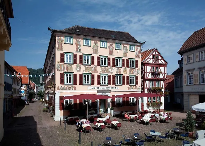 Hotel Karpfen Eberbach 