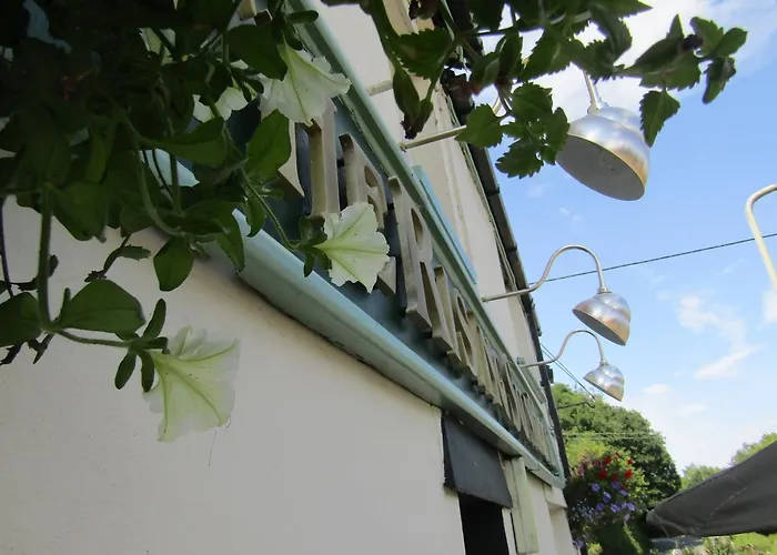 The Rising Sun Bed & Breakfast Umberleigh
