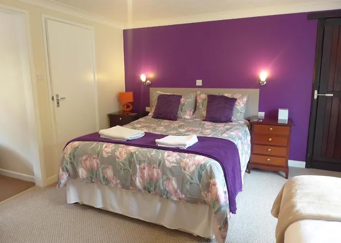Neuadd Wen Guest House Carmarthen