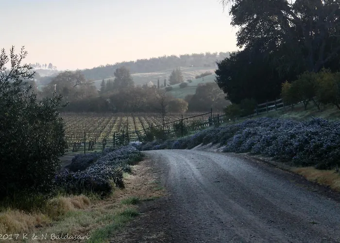 The Eden House Vineyard Hotel Templeton