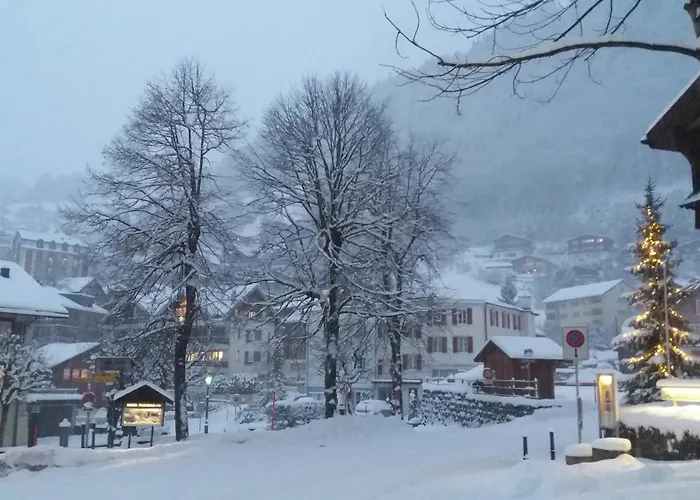 Hotel Hoheneck- Self Check-In Engelberg