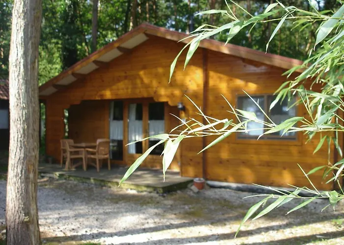 Bospark De Brenkberg Schinveld