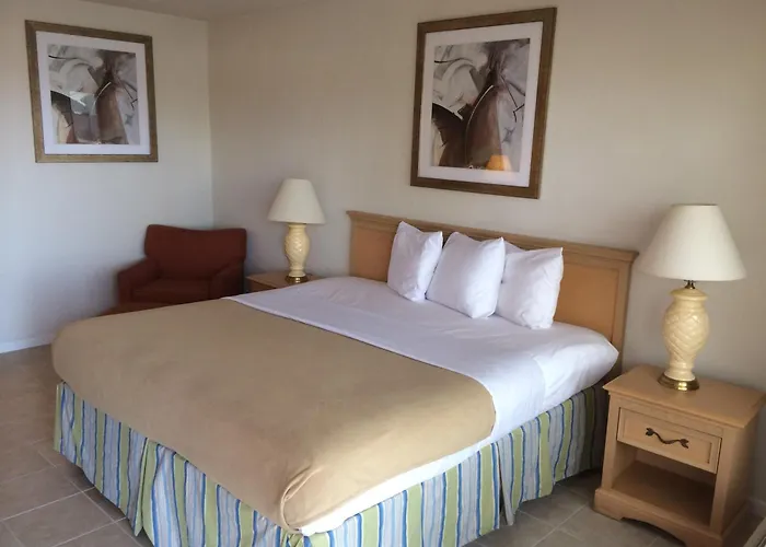 Lakeview Motel Lakeland