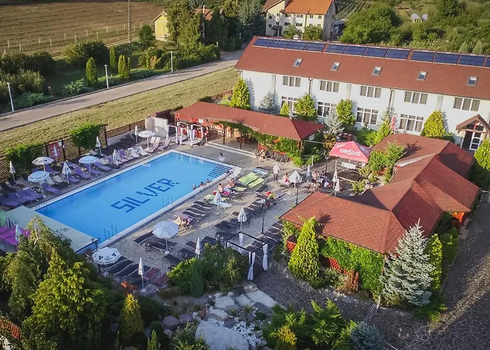 Silver Hotel Oradea