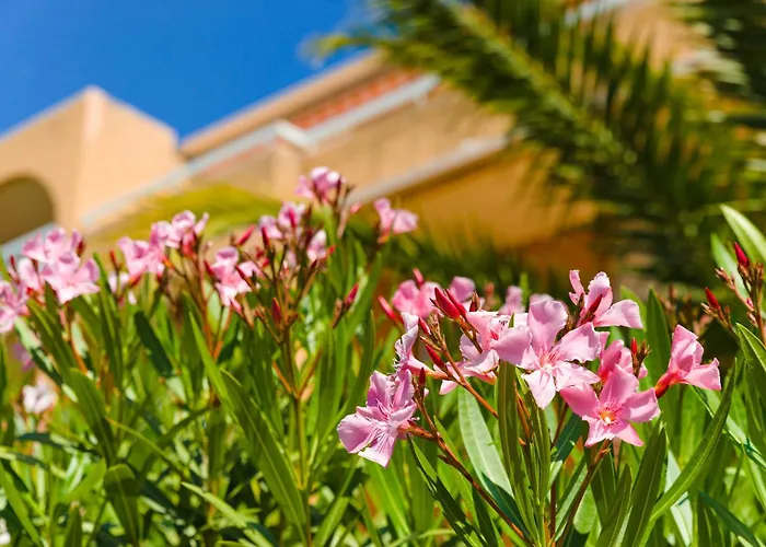 Lagrange Vacances Villa Barbara Cavalaire-sur-Mer
