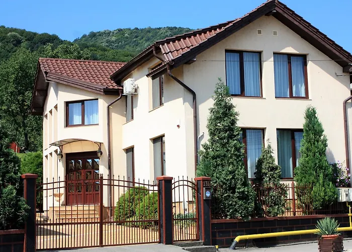 Silva House Hotel Deva