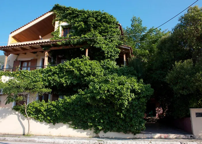 Staggia Studios Sami 