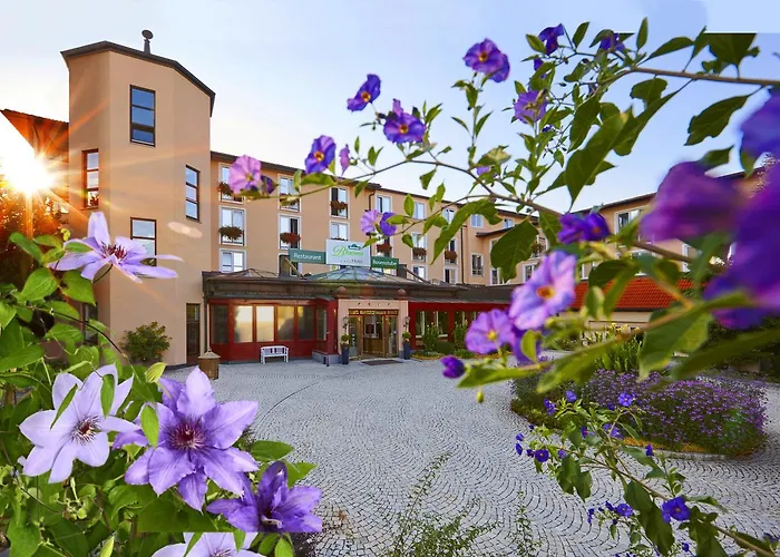 Dehner Blumen Hotel Rain 