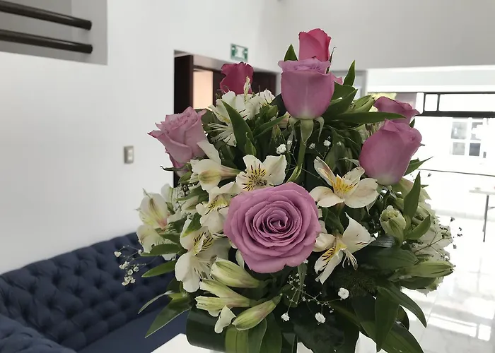 Hotel Plaza Amalia Tuxtla Gutiérrez