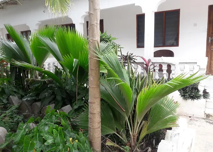 Ebony & Ivory Beach Bungalows Nungwi