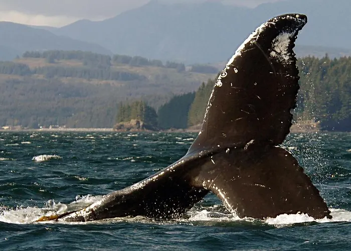 Kodiak Compass Suites