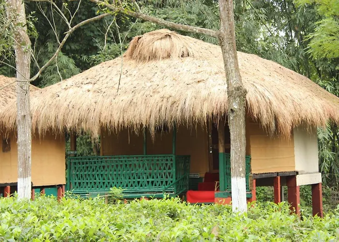 Nature Hunt Eco Camp Kaziranga