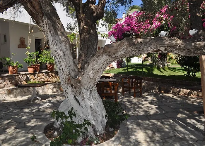 Villa Martha Spetses Town
