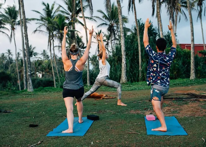 Surf & Yoga Sri Lanka - Surf Camp And Yoga Retreat With Coworking Space Mirissa