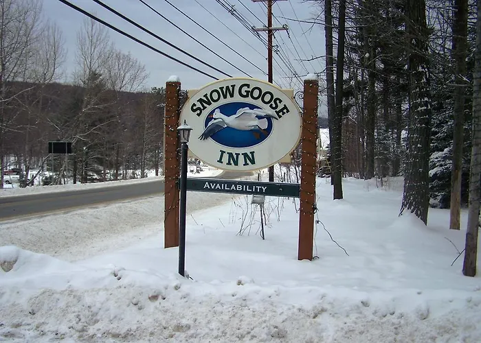 Snow Goose Inn Dover