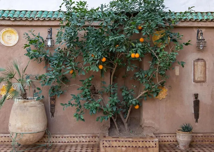 Riad Dar Sofian Zagora
