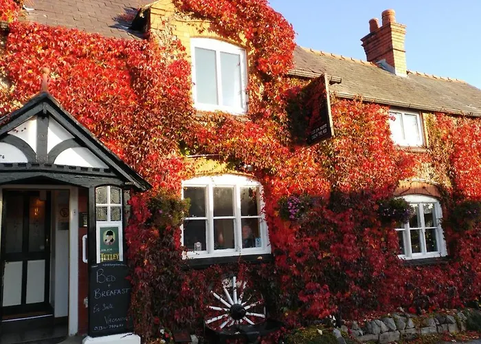 The Golden Lion Inn Denbigh