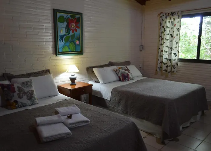Oasis Bed And Breakfast Puerto Iguazú