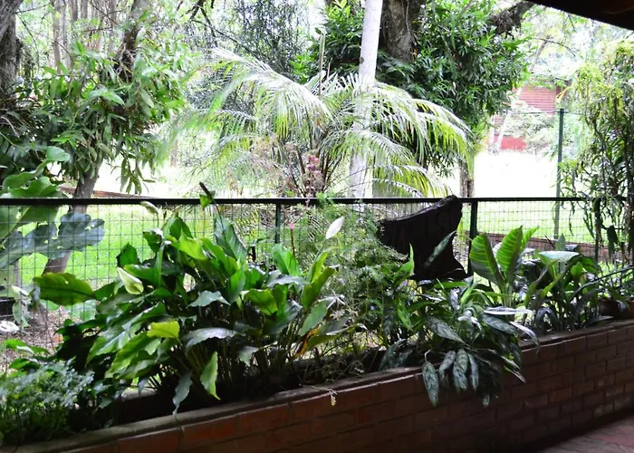 Oasis Bed And Breakfast Puerto Iguazú