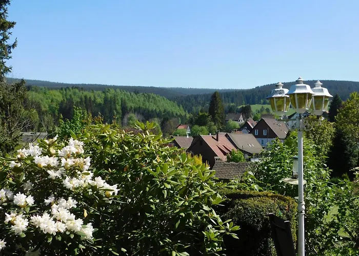 Pension Haus Petra Altenau 