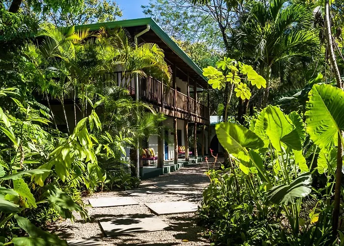 The Sunset Shack Hotel Nosara