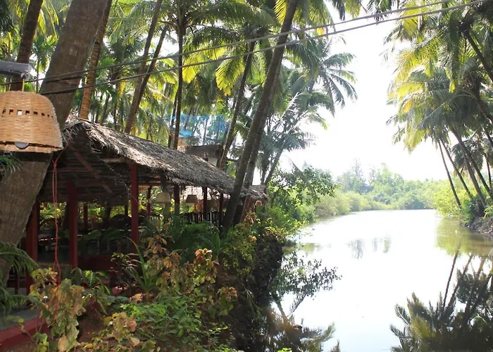 Palm Trees Ayurvedic Heritage Patnem Beach