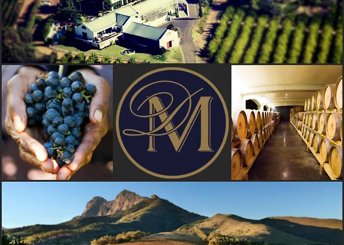 Marianne Wine Estate Bed and Breakfast Stellenbosch