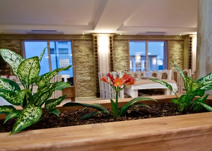 Wine Hotel Cesarica Medjugorje