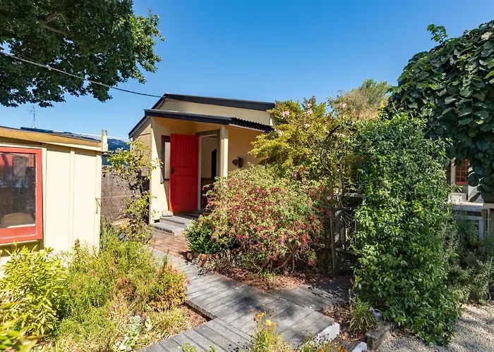 Shy Cottage And Studio Greytown