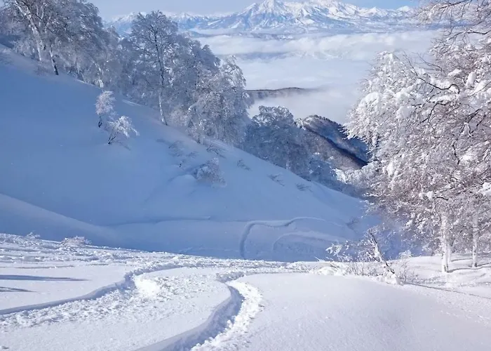Nozawa Dream Central