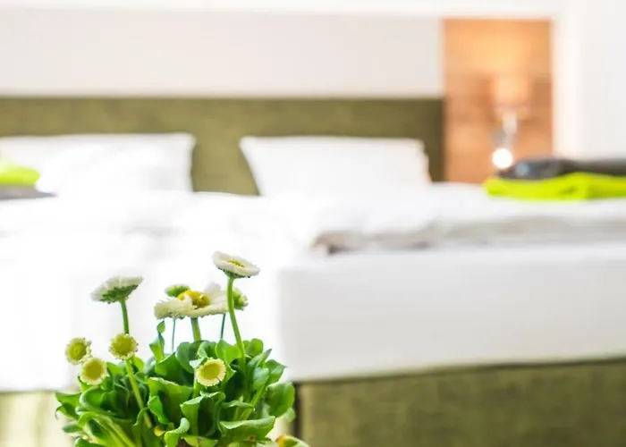 Hotel-Pension Treppengasse Nr 6 Altenburg