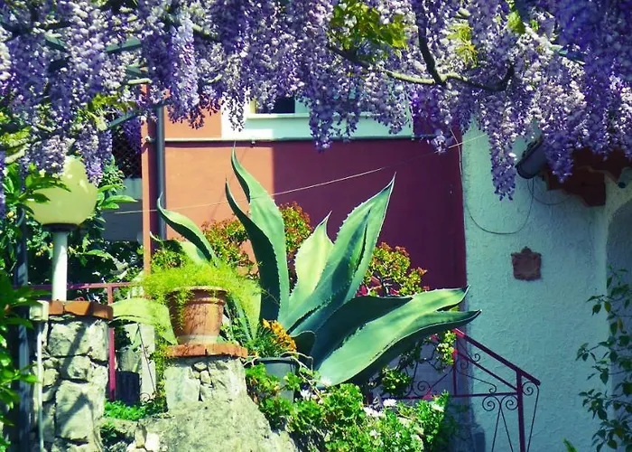 Residence Chalet Degli Ulivi Marina di Camerota