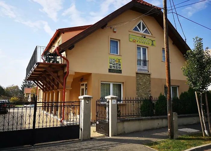 Borostyán Panzió Balatonfüred Panzió