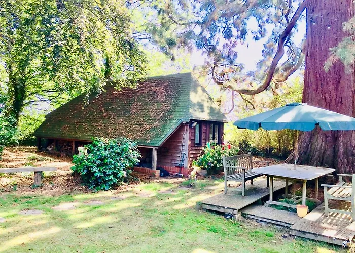 Woodland Chalet At Otters Green Botley
