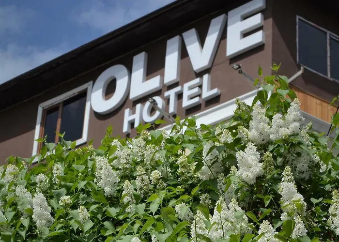 Olive Hotel Bişkek