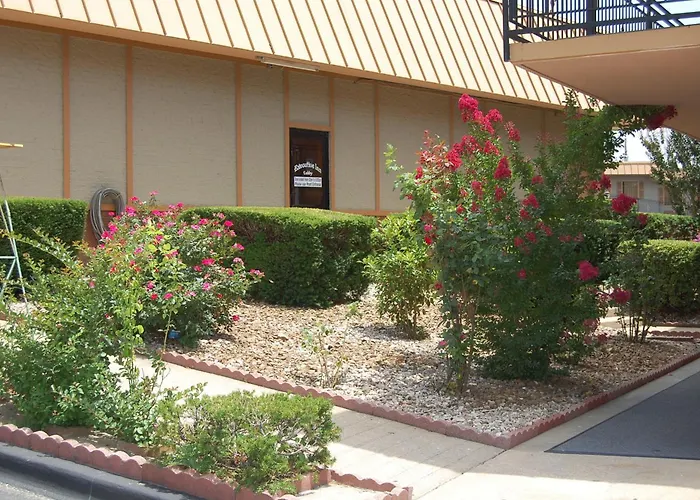 Executive Inn, Springdale