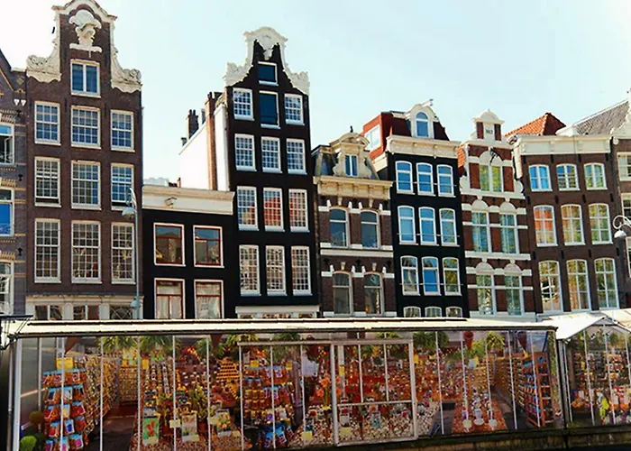 Top Of The City Amsterdam