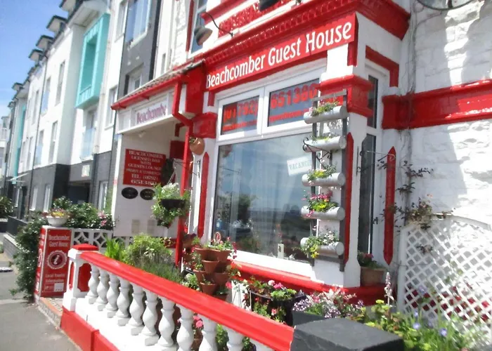 Beachcomber Swansea