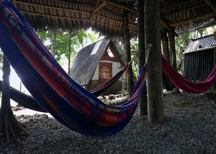 Jungle Roots Hotel Tena