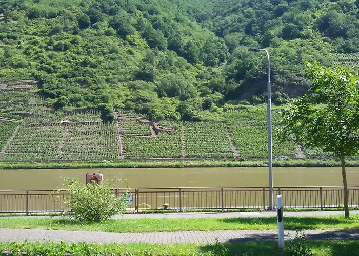 Gaestehaus Zum Moseltal Ellenz-Poltersdorf