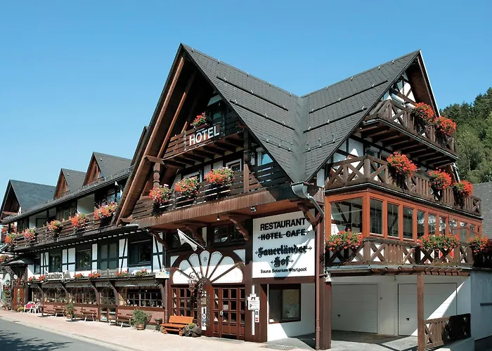 Hotel Sauerlaender Hof Willingen 