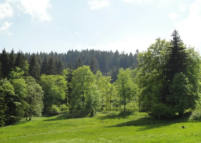 Hotel Obere Schweizerhütte Oberhof 