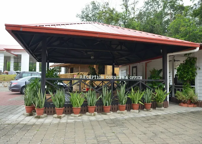 Borneo Tree House Hotel Kota Kinabalu