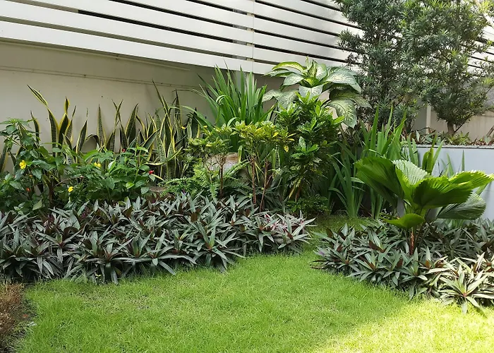 An Phu Plaza Serviced Apartment TP. Hồ Chí Minh