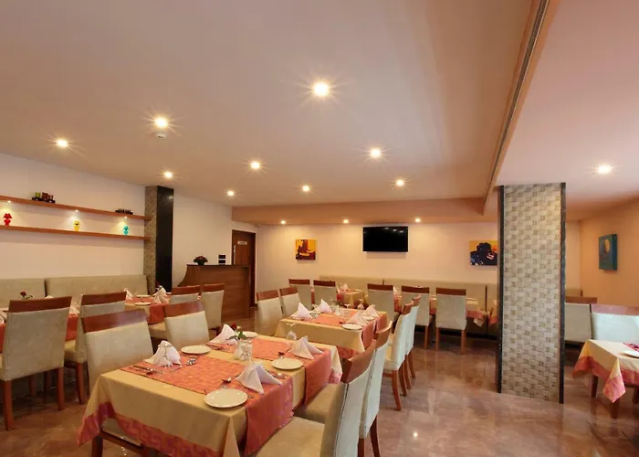 Palakunnel Residency Hotel Ettumanoor