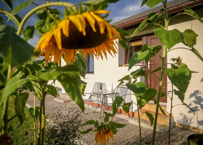 Pension Rauschberghof Ruhpolding