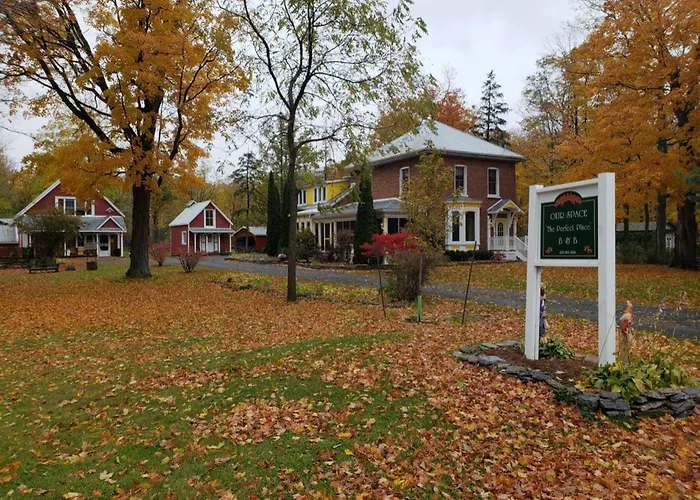 Our Space The Perfect Place B&B Picton