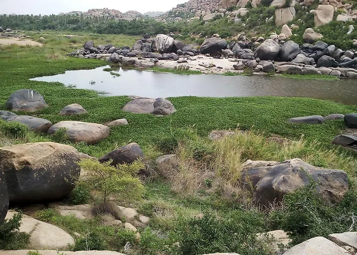 Riverside Homestay Hampi