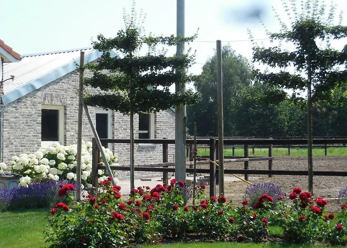 B&B De 7 Sprong Sevenum